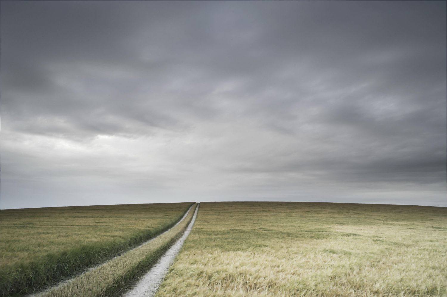 Landscape with Barley