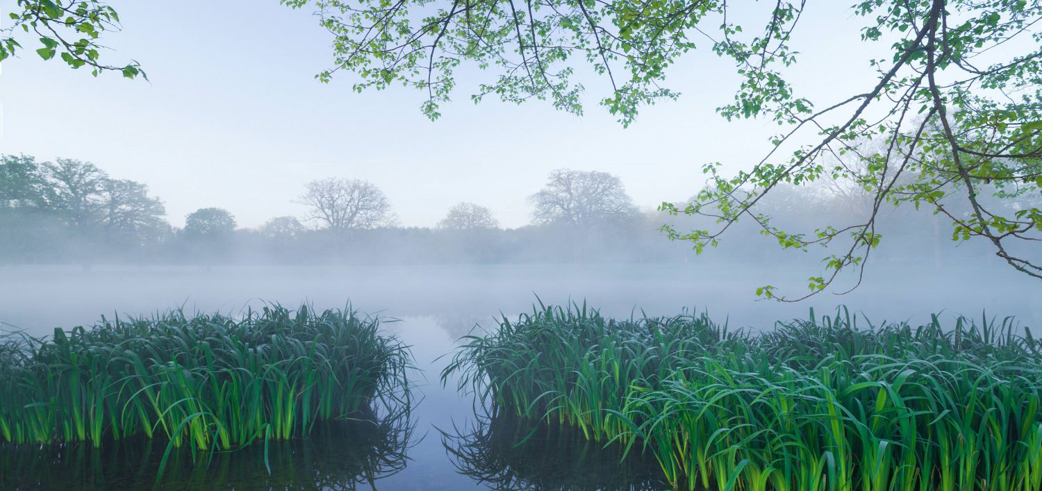 Shottesbrooke Park, Berkshire