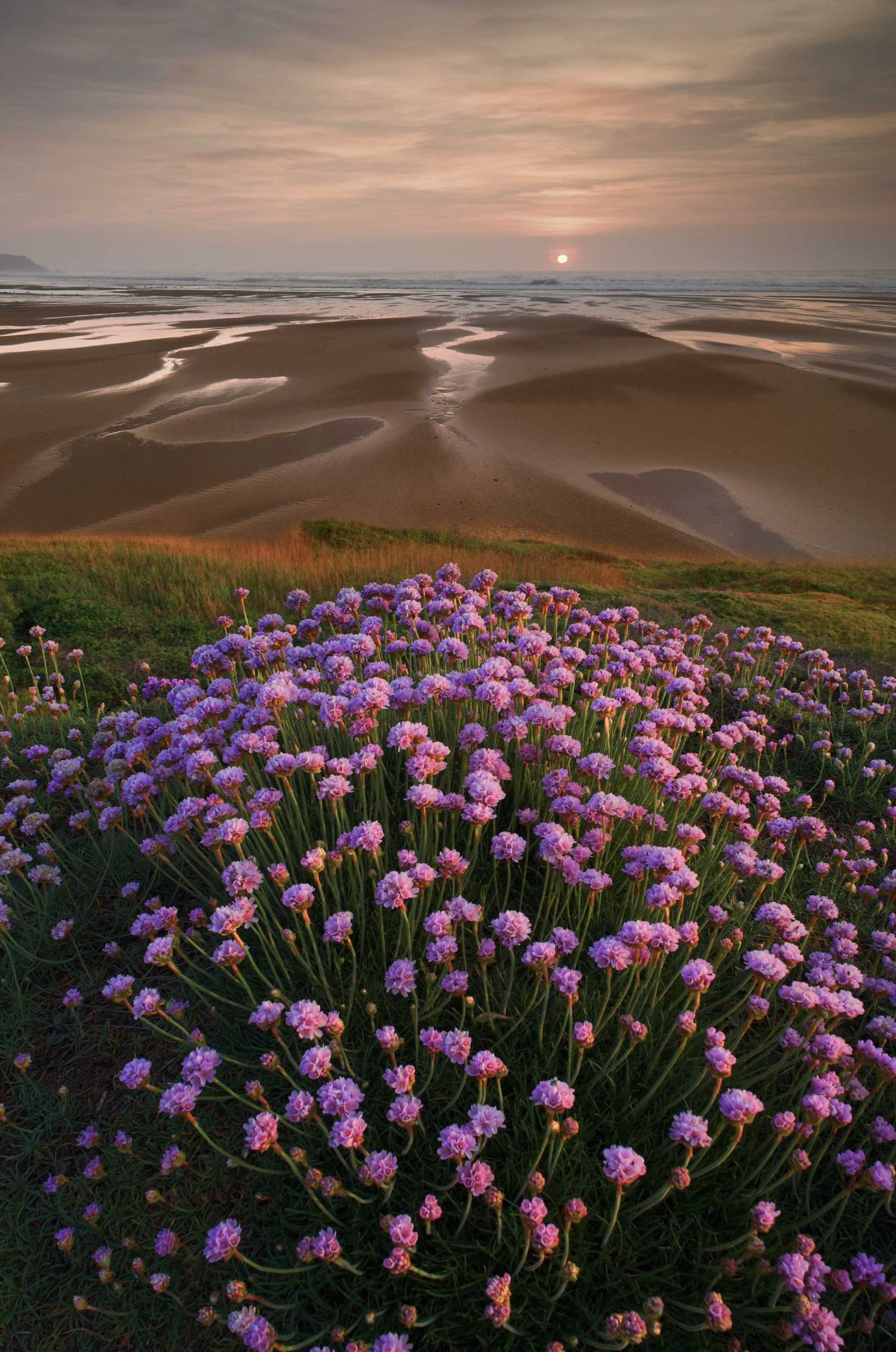 _M6B4158 Pinks cloned layer final FULLDPC09 done jan2010 redoneNov10 horizon2 2_1_1