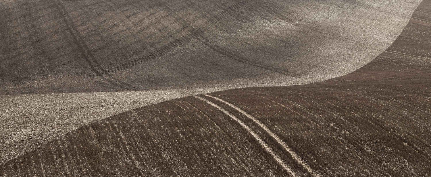 Field Patterns, Wiltshire